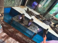 -华夏文旅海洋公园