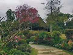 -东莞植物园