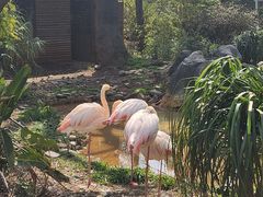 -昆明动物园