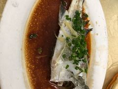 -隆都四季香饭店(碧海路店)