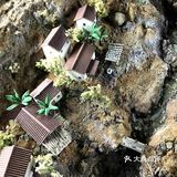 带儿子和我奶奶去了趟上海博物馆