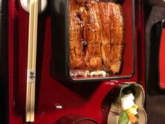 -料亭菊水楼