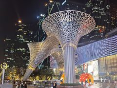 -深圳星河丽思卡尔顿酒店