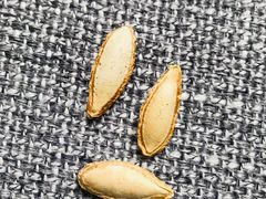 -方林富炒货店(西溪路78号本人店)