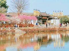 -西溪国家湿地公园