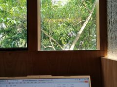 -LOTTA COFFEE(安居博文苑店)