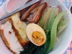 金奖卤鹅肉饭-陈鹏鹏潮汕菜(宝安机场T3航站楼店)