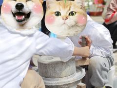 -前小桔亲子创意农场·草莓采摘·露营烧烤
