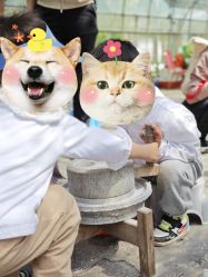 -前小桔亲子创意农场·草莓采摘·露营烧烤