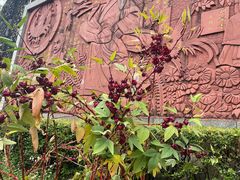 -广州神农草堂中医药博物馆