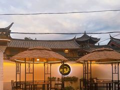 -蘑统田下·野生菌火锅