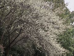 -天目湖涵田半山温泉