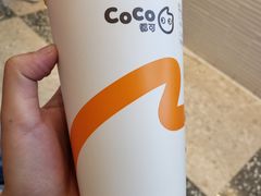 -CoCo都可(长江西路华联店)