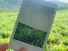 -中国茶叶博物馆(双峰馆区)