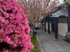-求雨山文化公园
