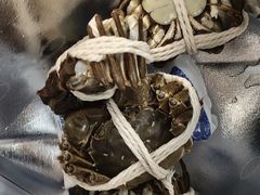 -阳澄湖大闸蟹·琼灵阁牌品牌连锁(吴中总店)