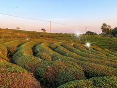 -游子山休闲旅游区