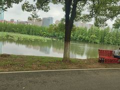 -艾溪湖湿地公园