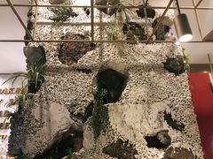 -农畉LONFOOD(福田星河COCOPark店)