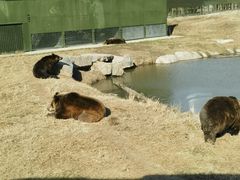 -上海野生动物园