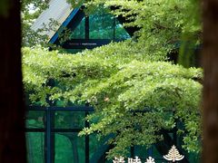 -佛冈森波拉度假区