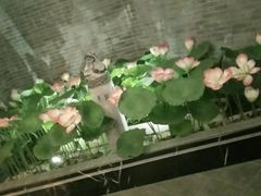 -金陵春梦足道SPA养生