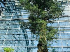 -南山植物园