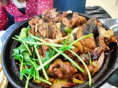 鸡鸡蛙蛙中煲-川香煲(茅台路店)