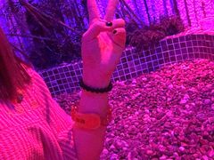 -水晶之星洗浴温泉汗蒸