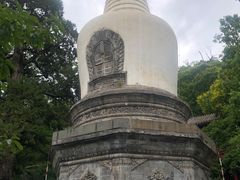 -大觉寺-停车场