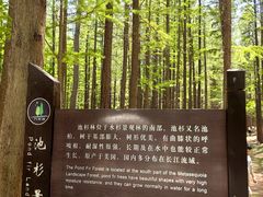 -日照海滨国家森林公园