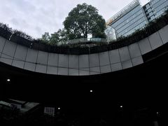 -鹿港小镇(金虹桥国际中心店)