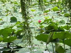 -长春市南湖公园