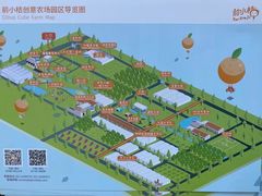 -前小桔亲子创意农场·草莓采摘·露营烧烤