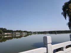 -大兴滨河森林公园