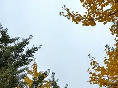 -长白岛森林公园