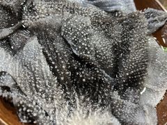 鲜毛肚-毛子老火锅