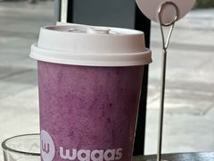 -Wagas沃歌斯(富力广场店)