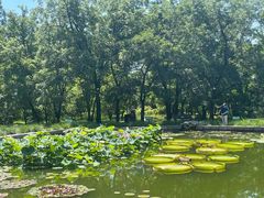 -国家植物园南园