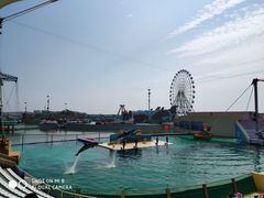 -秦皇岛乐岛海洋王国