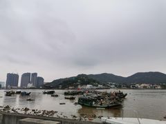 -横琴客运码头