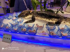 -澜悦港海鲜体验主题餐厅