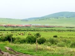 -塞罕坝国家级自然保护区