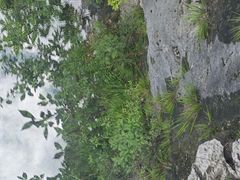 -千岛湖石林