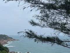 -广东惠东海龟国家级自然保护区