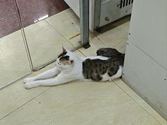 -玉椰林甜品店(创始店)