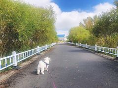 -塞罕坝国家级自然保护区