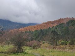 -硗碛藏寨·神木垒景区