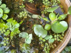 -川匠·睡眠采耳·SPA(九眼桥店)