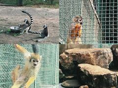 -无锡动物园·太湖欢乐园